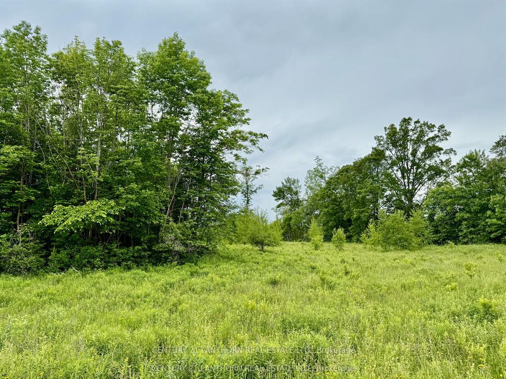 Photo 5 of 00 Cooper Road, Madoc — HOMEH