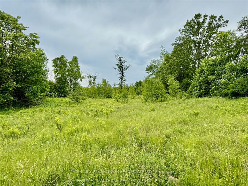 Photo 6 of 00 Cooper Road, Madoc — HOMEH