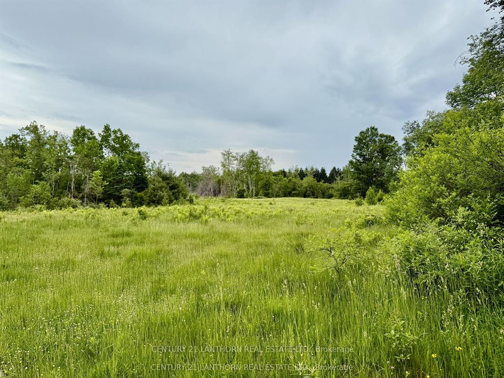 Photo 7 of 00 Cooper Road, Madoc — HOMEH