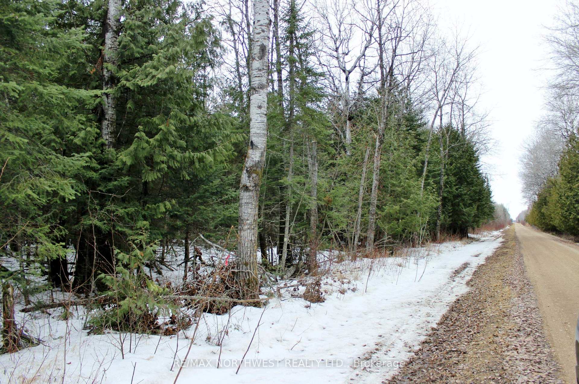 Photo 11 of PCL 18847 Negley Rd, Rainy River Remote Area — HOMEH