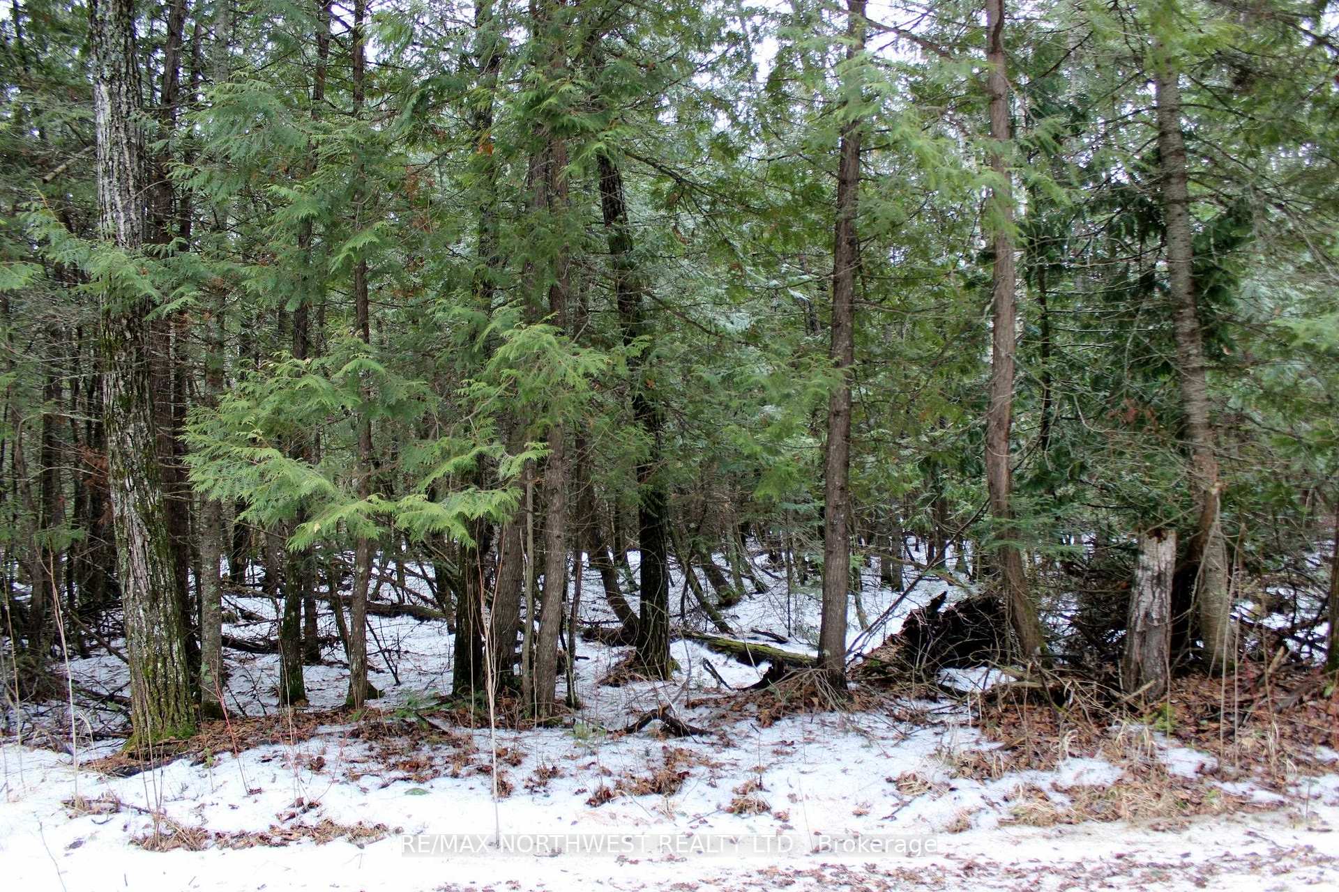 Photo 12 of PCL 18847 Negley Rd, Rainy River Remote Area — HOMEH