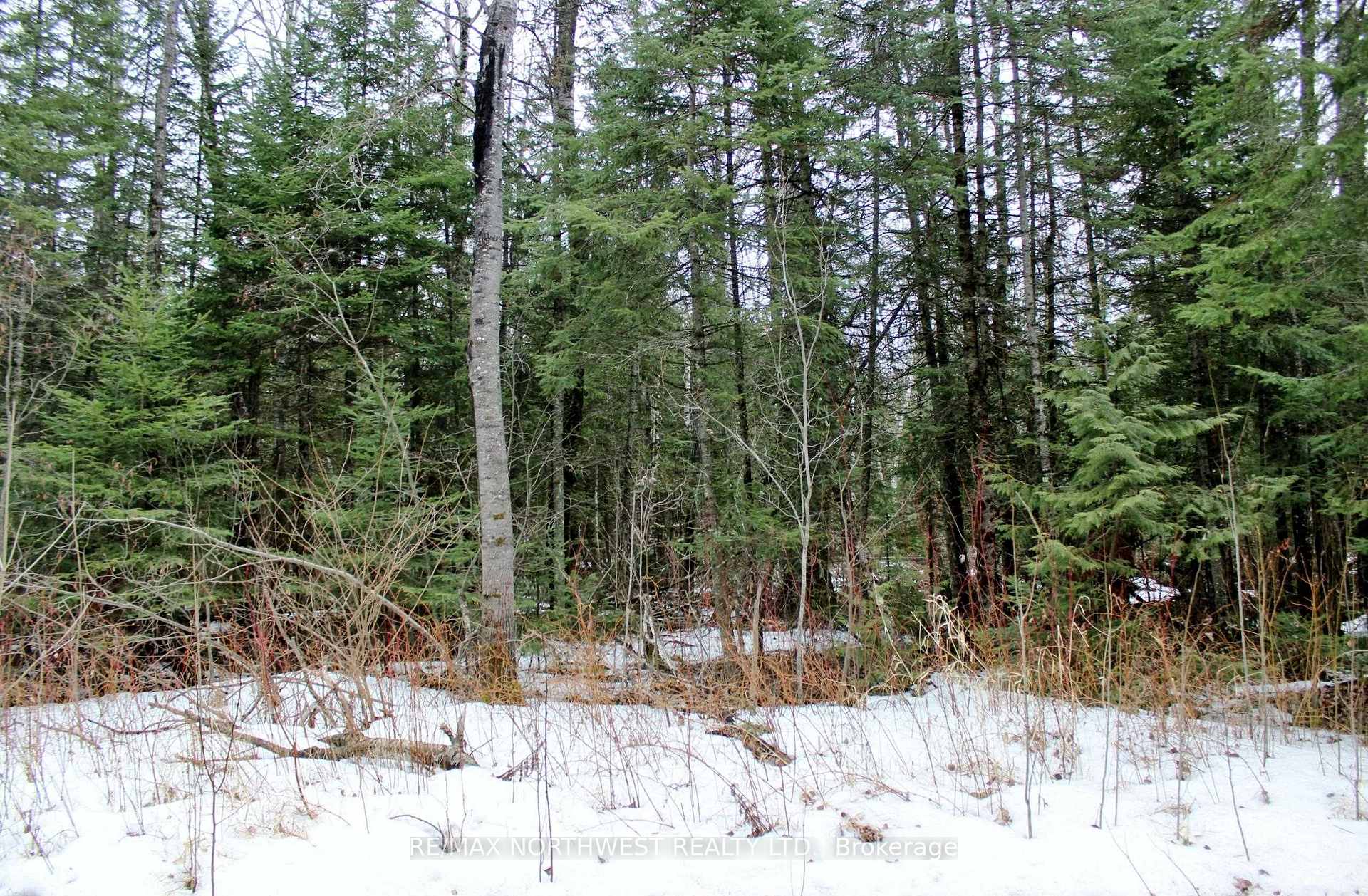 Photo 13 of PCL 18847 Negley Rd, Rainy River Remote Area — HOMEH