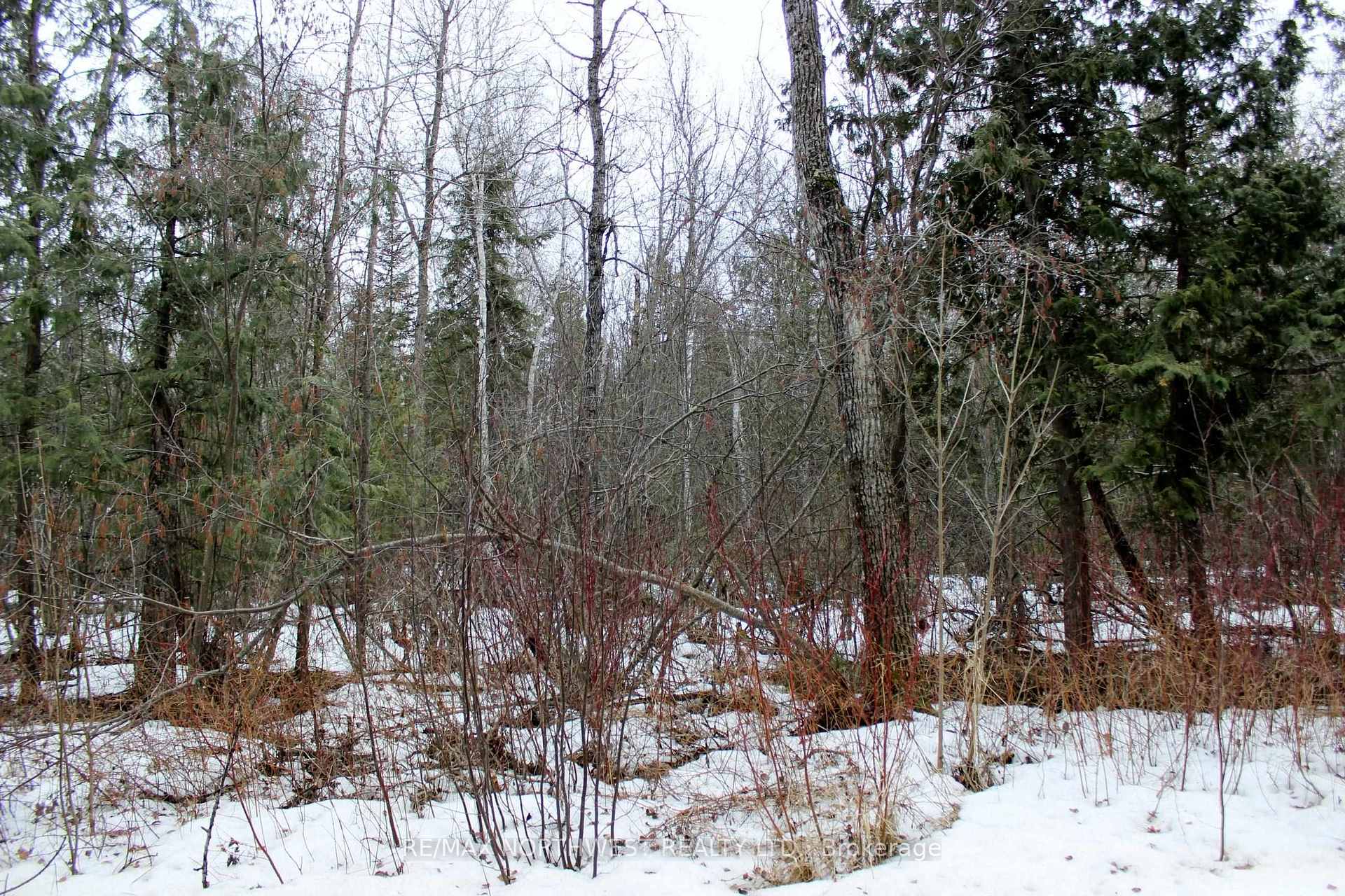 Photo 14 of PCL 18847 Negley Rd, Rainy River Remote Area — HOMEH