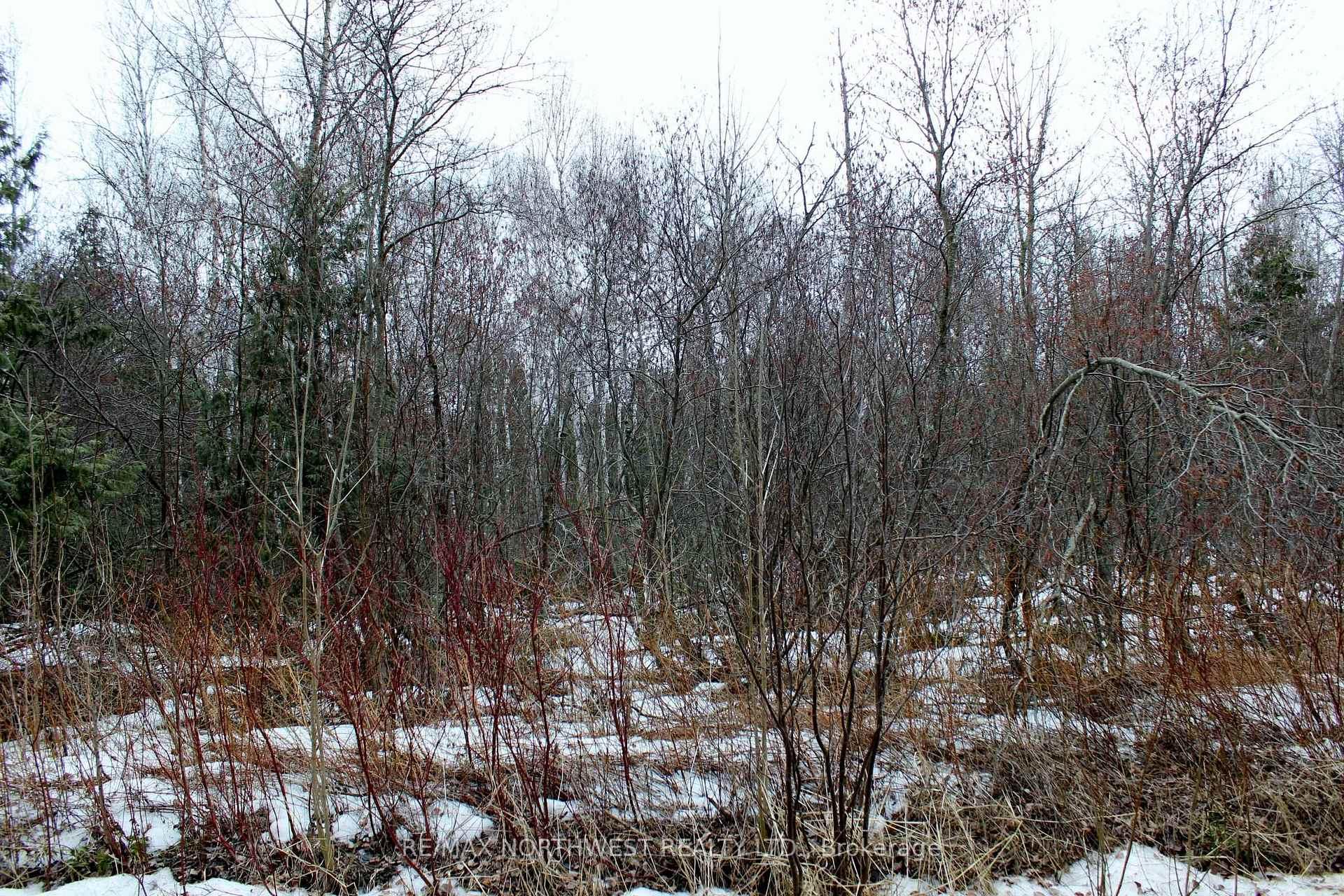 Photo 15 of PCL 18847 Negley Rd, Rainy River Remote Area — HOMEH