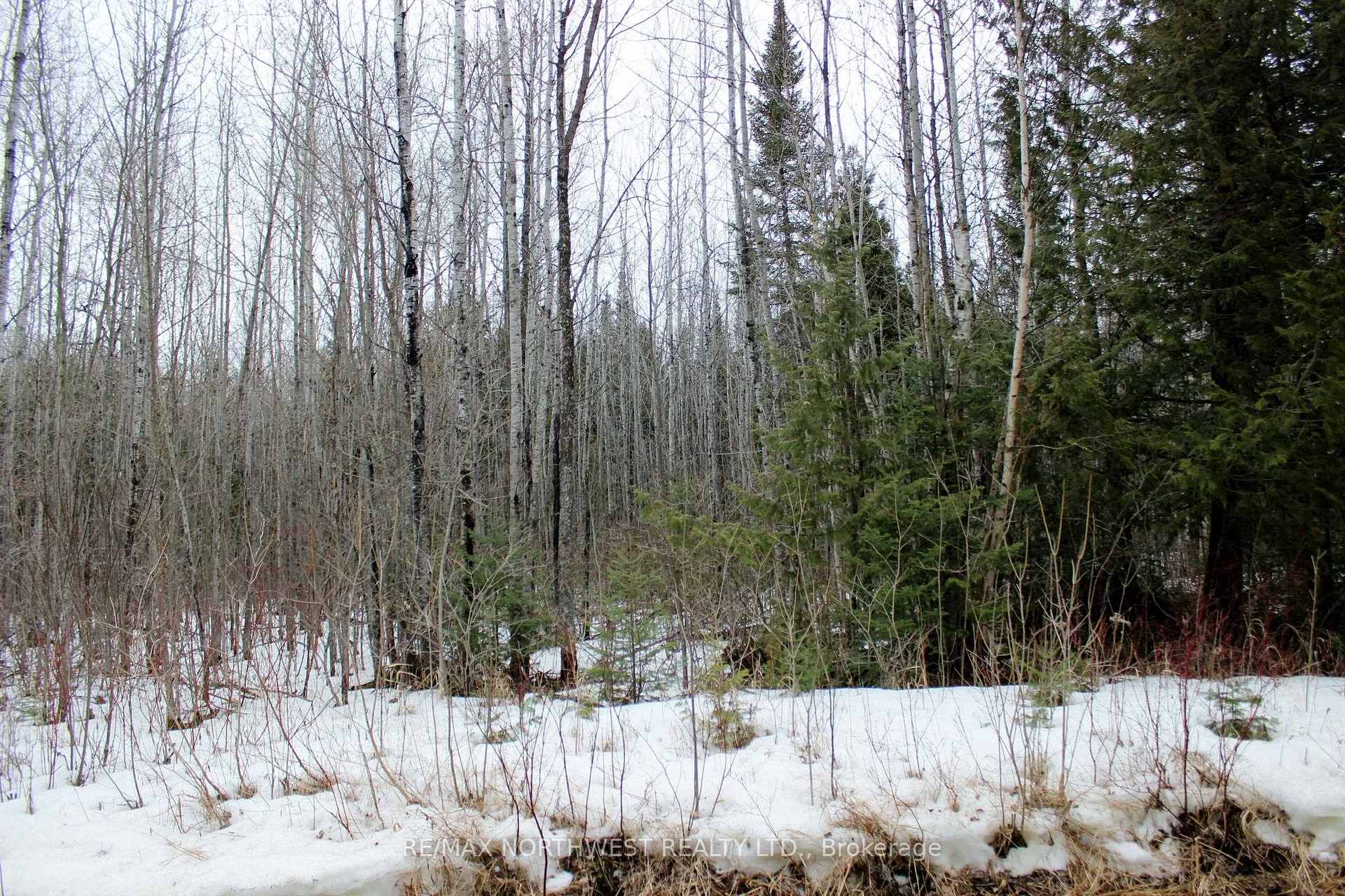 Photo 16 of PCL 18847 Negley Rd, Rainy River Remote Area — HOMEH