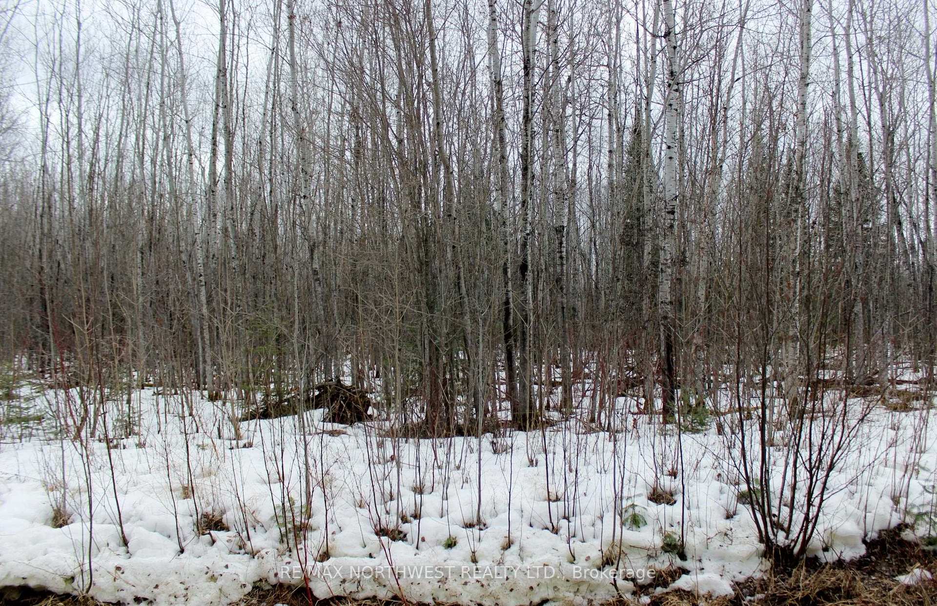 Photo 17 of PCL 18847 Negley Rd, Rainy River Remote Area — HOMEH