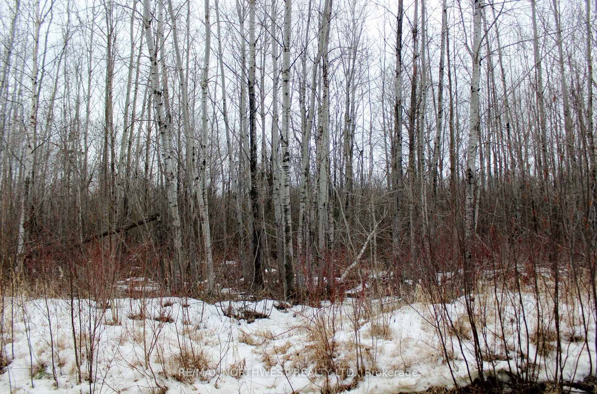 Photo 18 of PCL 18847 Negley Rd, Rainy River Remote Area — HOMEH