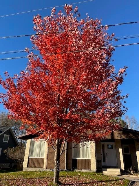 Photo 23 of 23 Ross Street, Dryden, Riverview — HOMEH