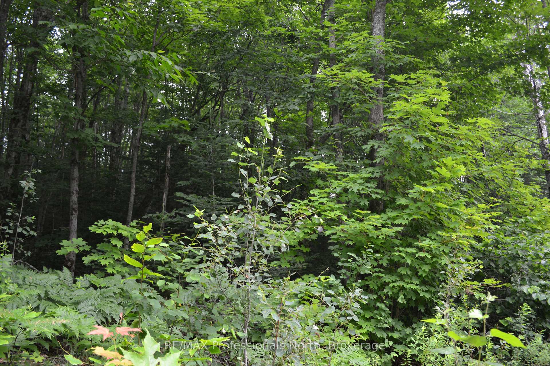 Photo 2 of Fern Glen Road, Perry, Scotia — HOMEH
