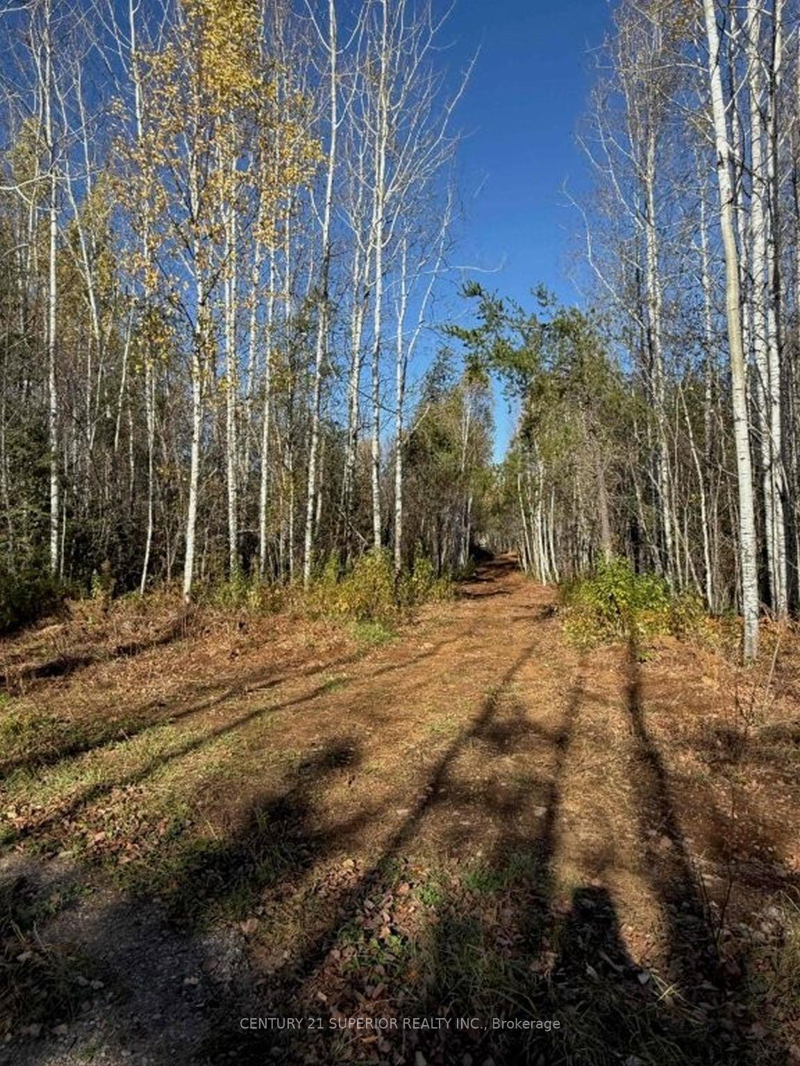 Photo 23 of 330 350 Delints Road, Thunder Bay Remote Area, Lybster — HOMEH