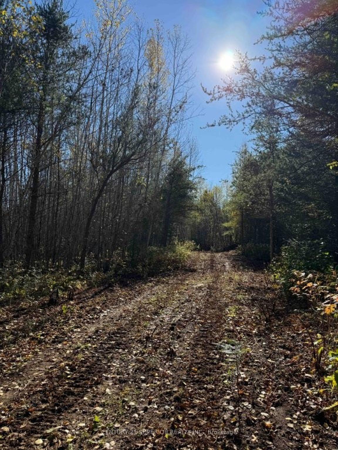 Photo 28 of 330 350 Delints Road, Thunder Bay Remote Area, Lybster — HOMEH