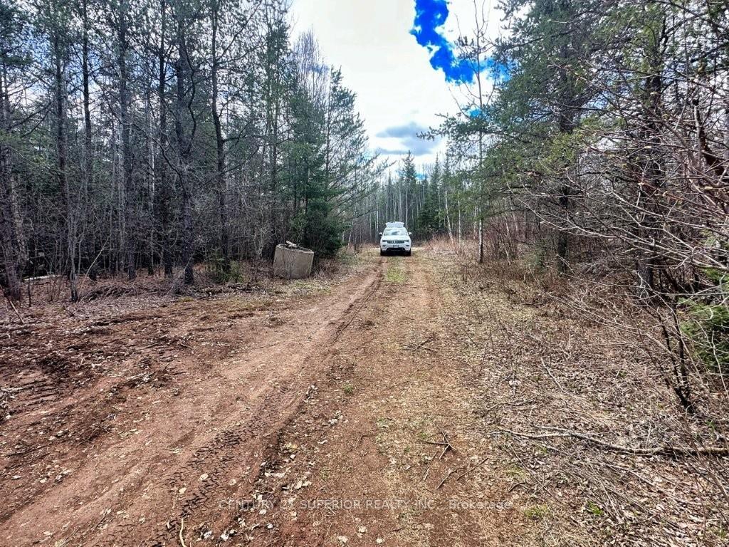 Photo 29 of 330 350 Delints Road, Thunder Bay Remote Area, Lybster — HOMEH