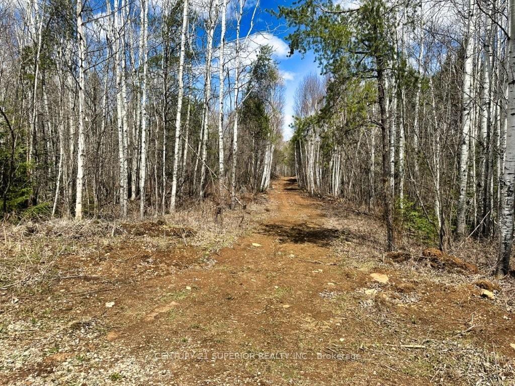 Photo 36 of 330 350 Delints Road, Thunder Bay Remote Area, Lybster — HOMEH