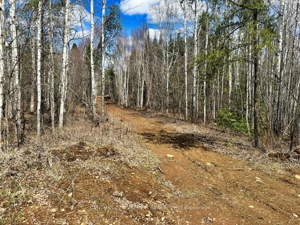 Photo 37 of 330 350 Delints Road, Thunder Bay Remote Area, Lybster — HOMEH