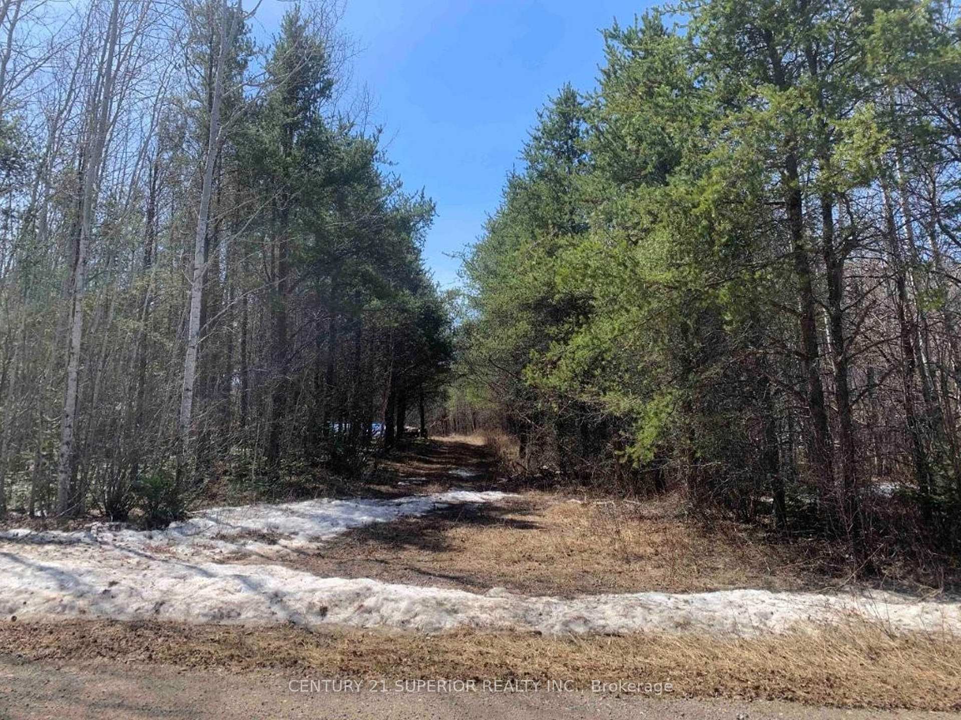 Photo 41 of 330 350 Delints Road, Thunder Bay Remote Area, Lybster — HOMEH