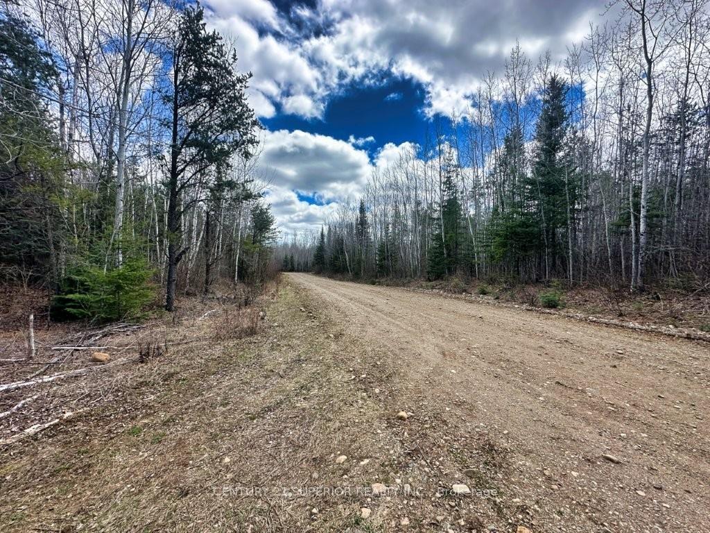 Photo 44 of 330 350 Delints Road, Thunder Bay Remote Area, Lybster — HOMEH