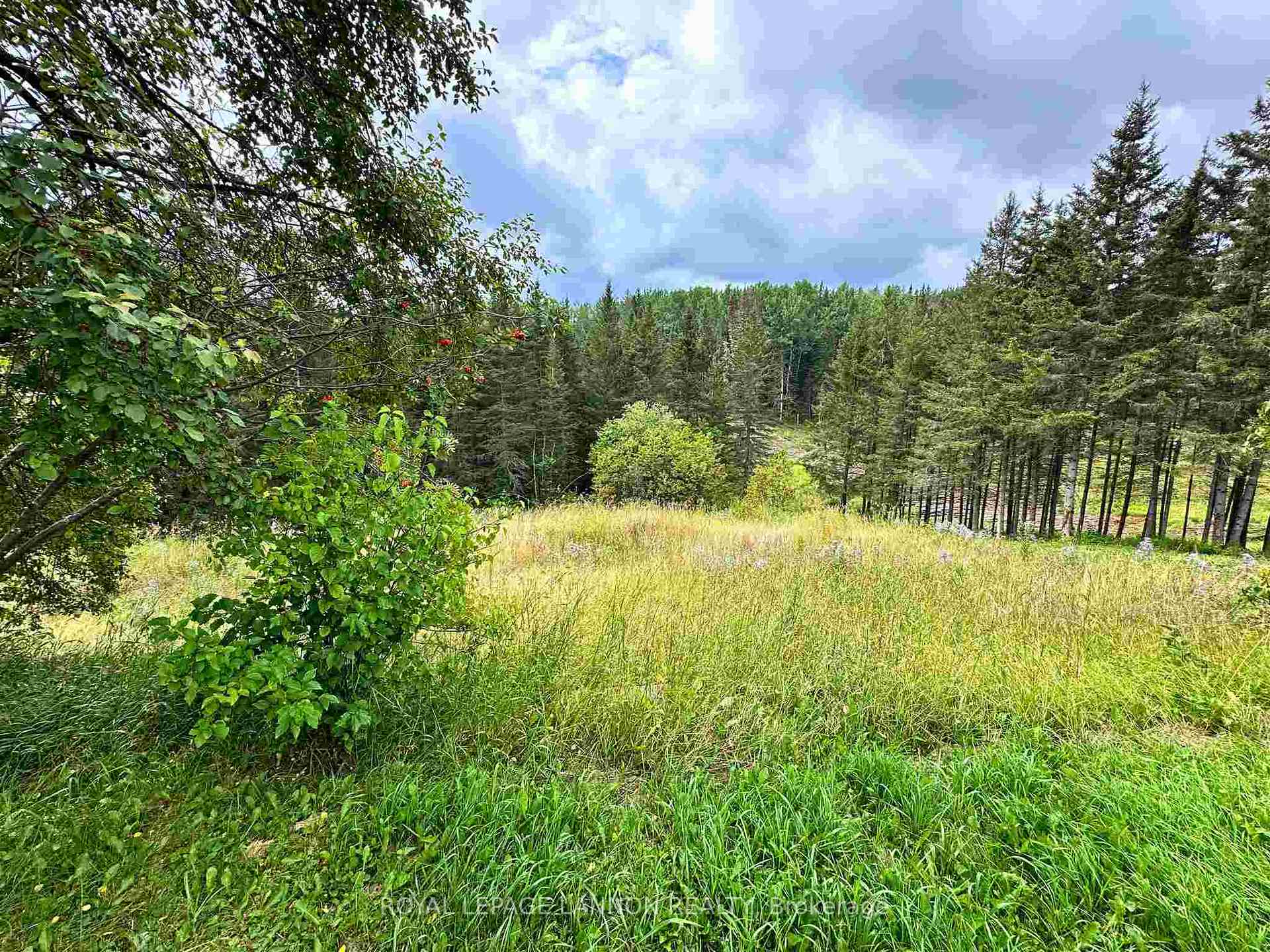Photo 5 of 7647 Hwy 11/17, Thunder Bay Remote Area, Dawson Road Lots — HOMEH