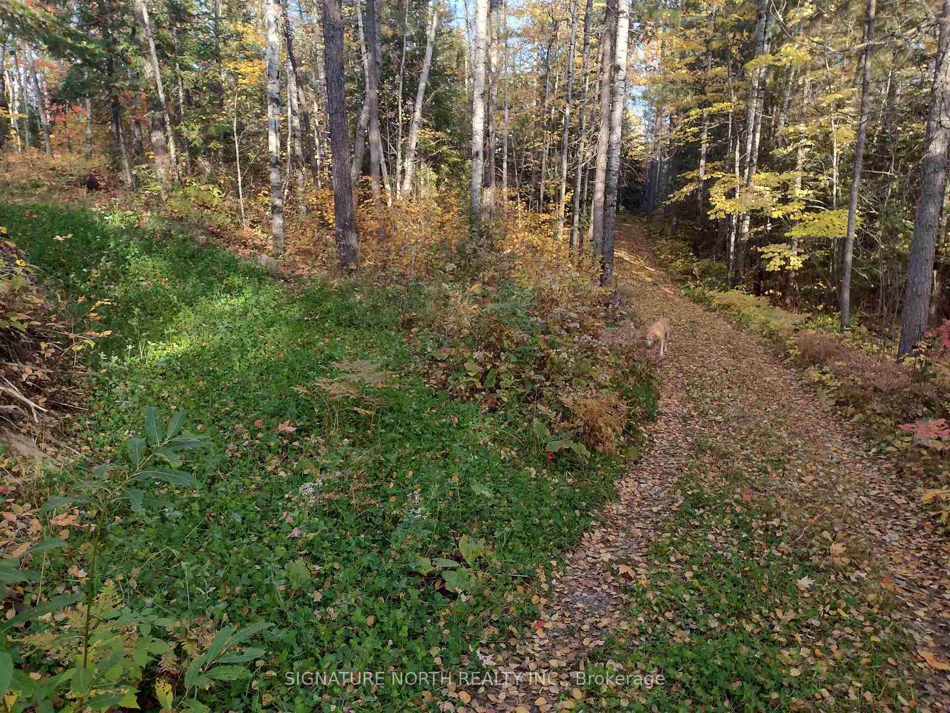 Photo 17 of 68 Camp Rd, Rainy River Remote Area — HOMEH