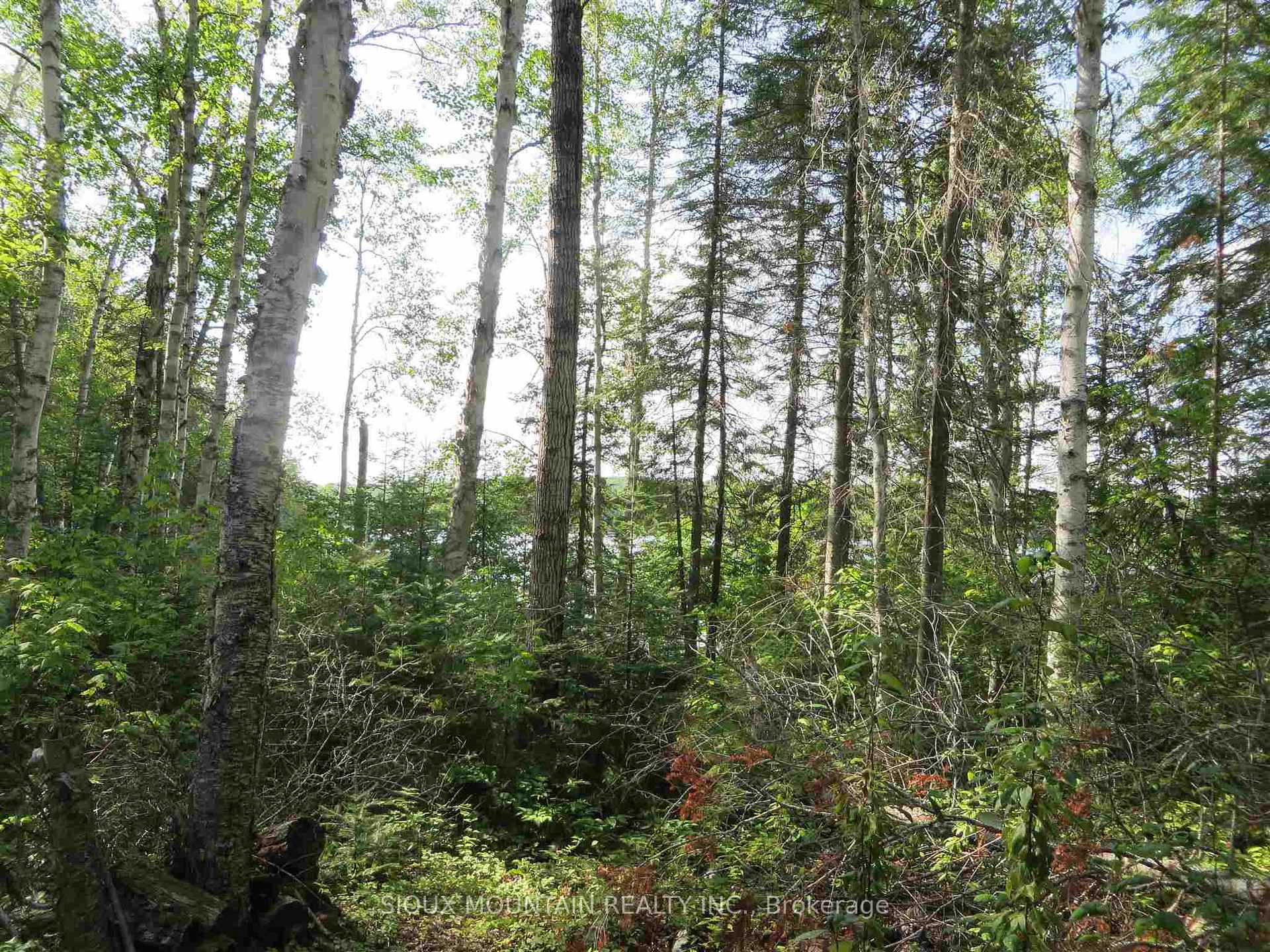 Photo 6 of 15 Botsford Lake, Kenora Remote Area — HOMEH