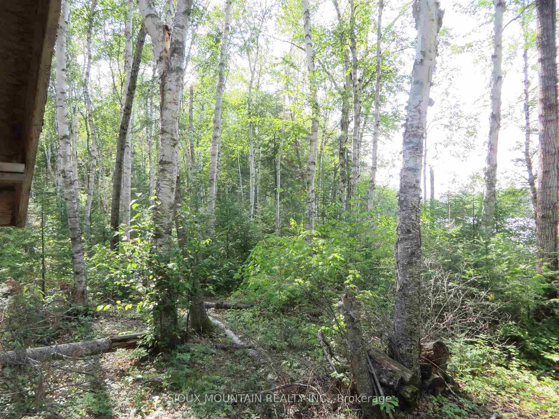 Photo 7 of 15 Botsford Lake, Kenora Remote Area — HOMEH