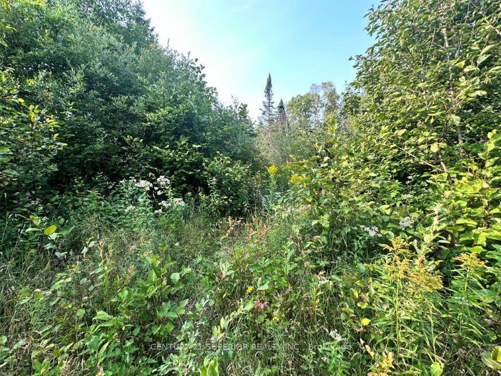 Photo 29 of PCL 24743 Lakeshore Drive, Shuniah — HOMEH