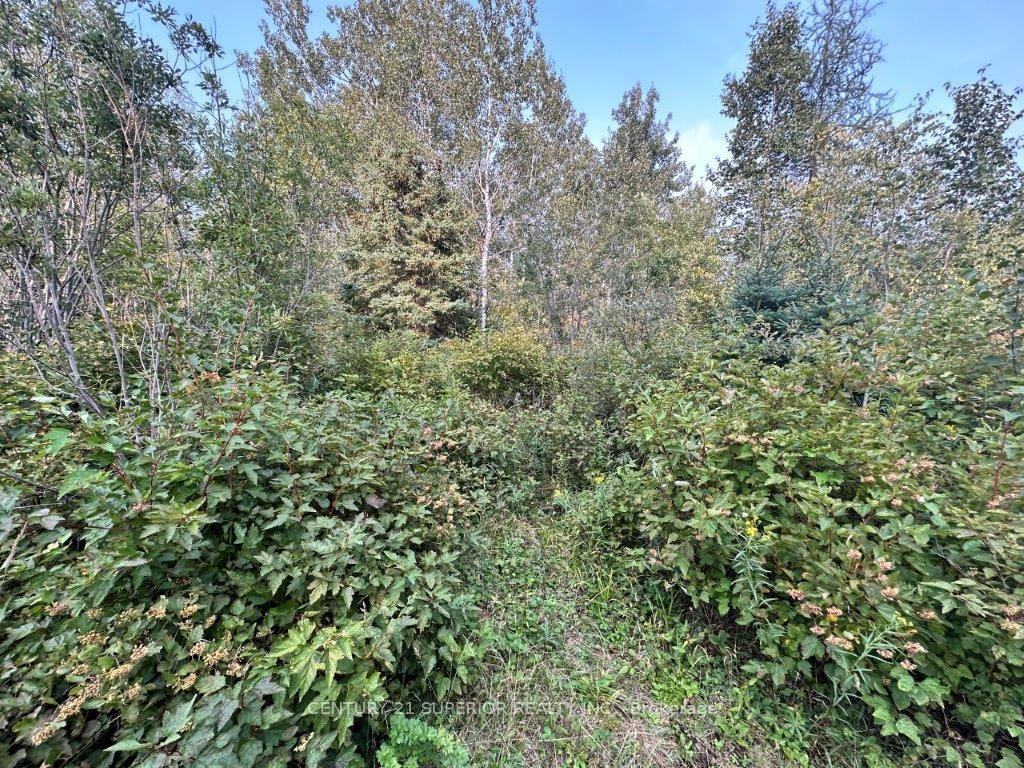 Photo 34 of PCL 24743 Lakeshore Drive, Shuniah — HOMEH