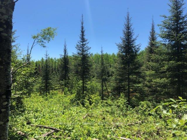 Photo 4 of Parcel 24640, Timmins, TM - Outside West — HOMEH