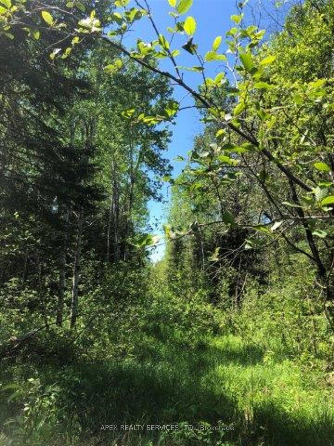 Photo 5 of Parcel 24640, Timmins, TM - Outside West — HOMEH