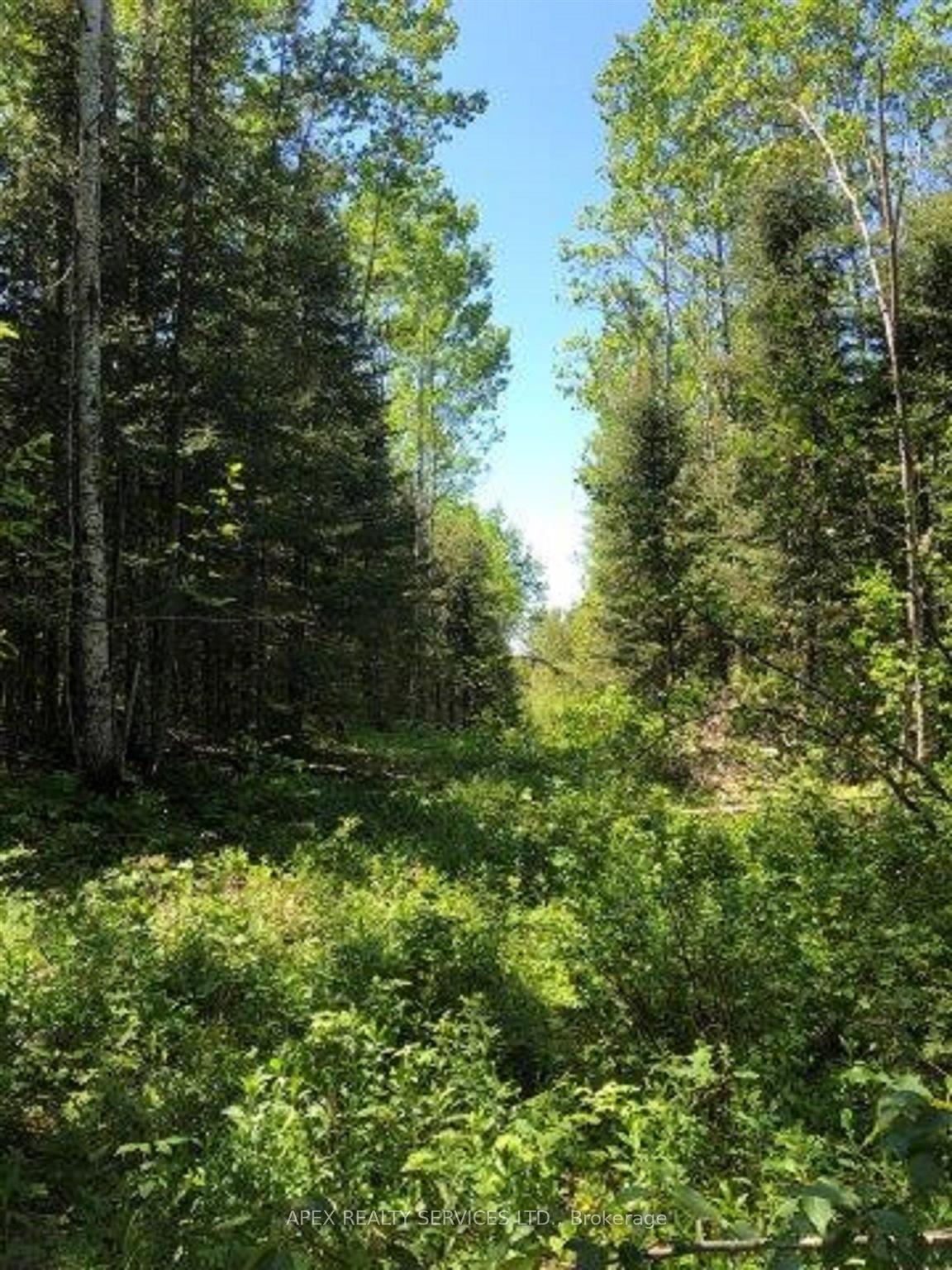 Photo 6 of Parcel 24640, Timmins, TM - Outside West — HOMEH