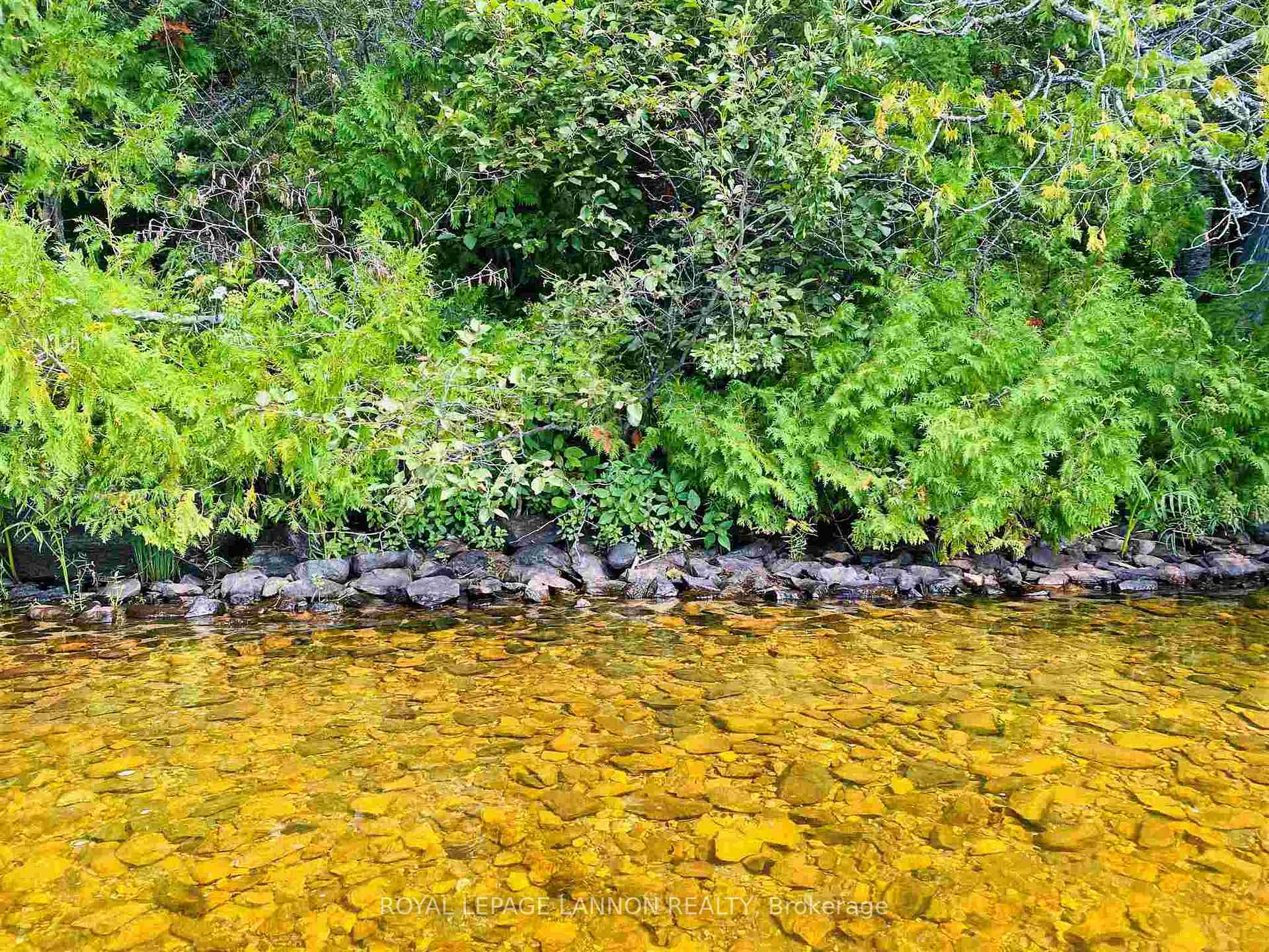 Photo 3 of Barred Owl Road, Thunder Bay Remote Area — HOMEH