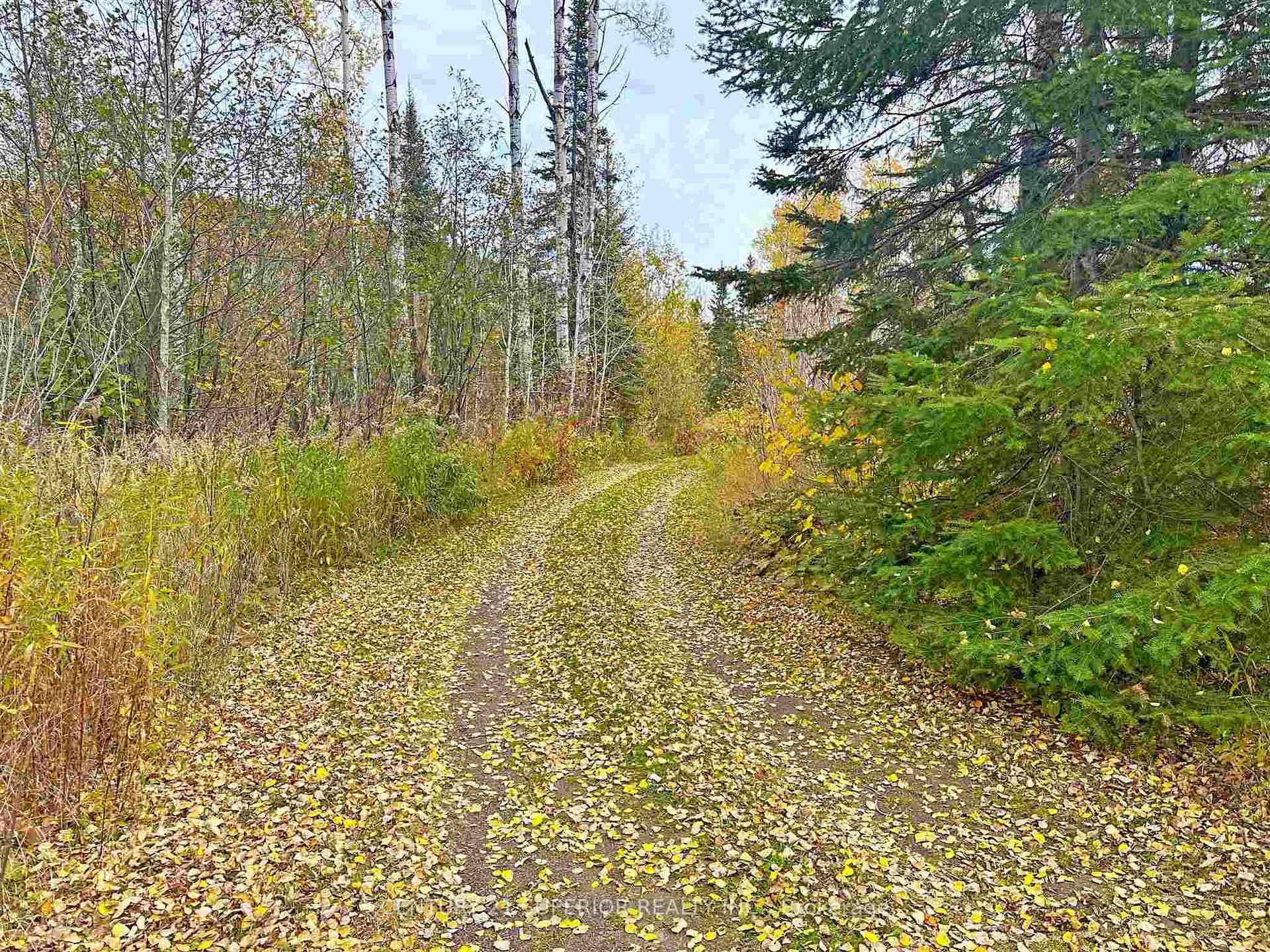 Photo 7 of 43 Memory Road, Neebing, Crooks — HOMEH
