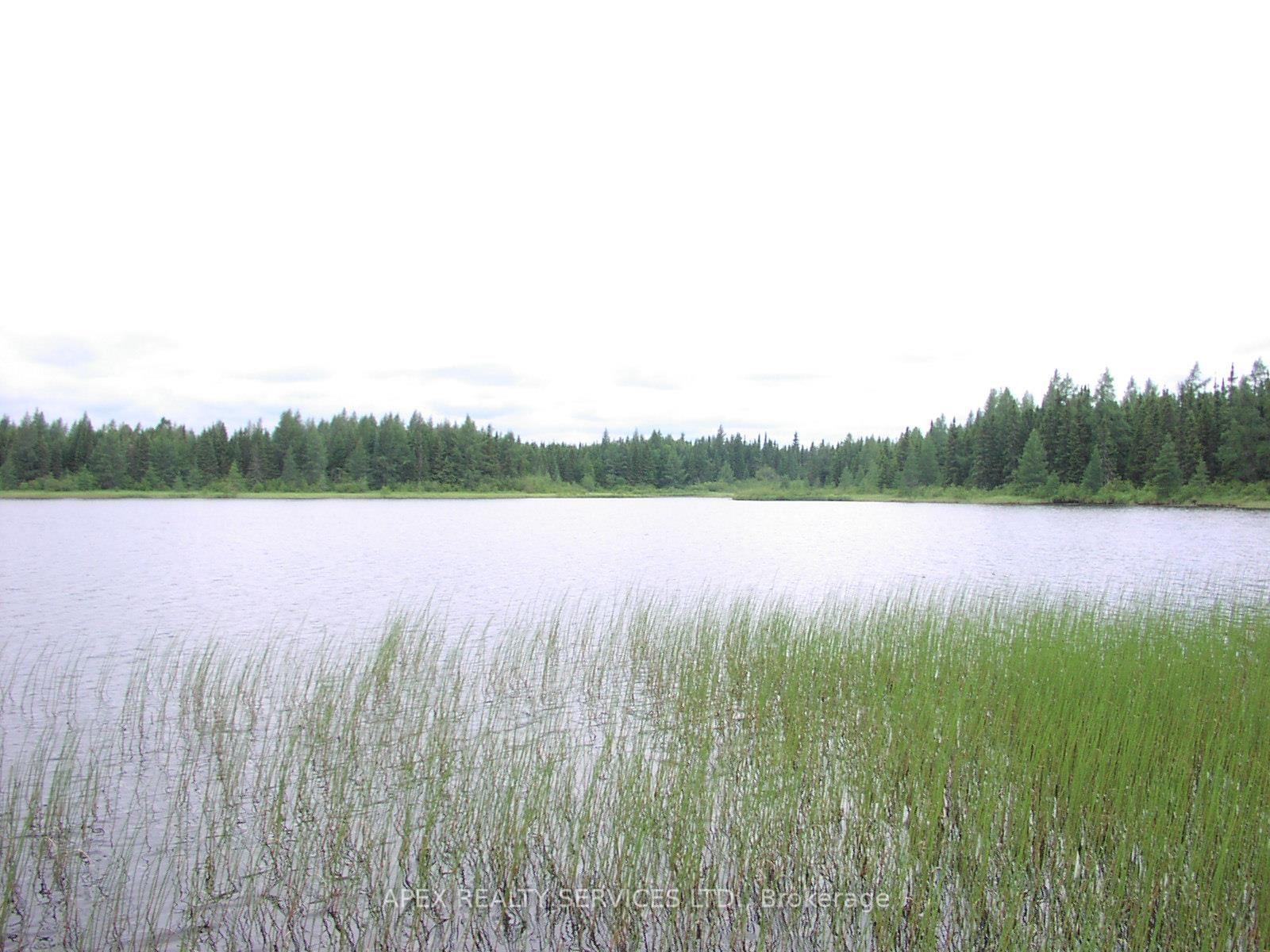 Front of 40.25 Acres Parcel 1138