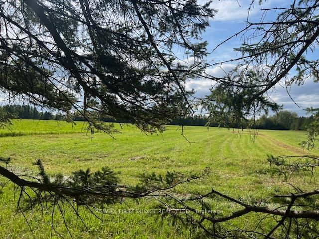 Photo 33 of 2187 Hwy 602, Alberton — HOMEH
