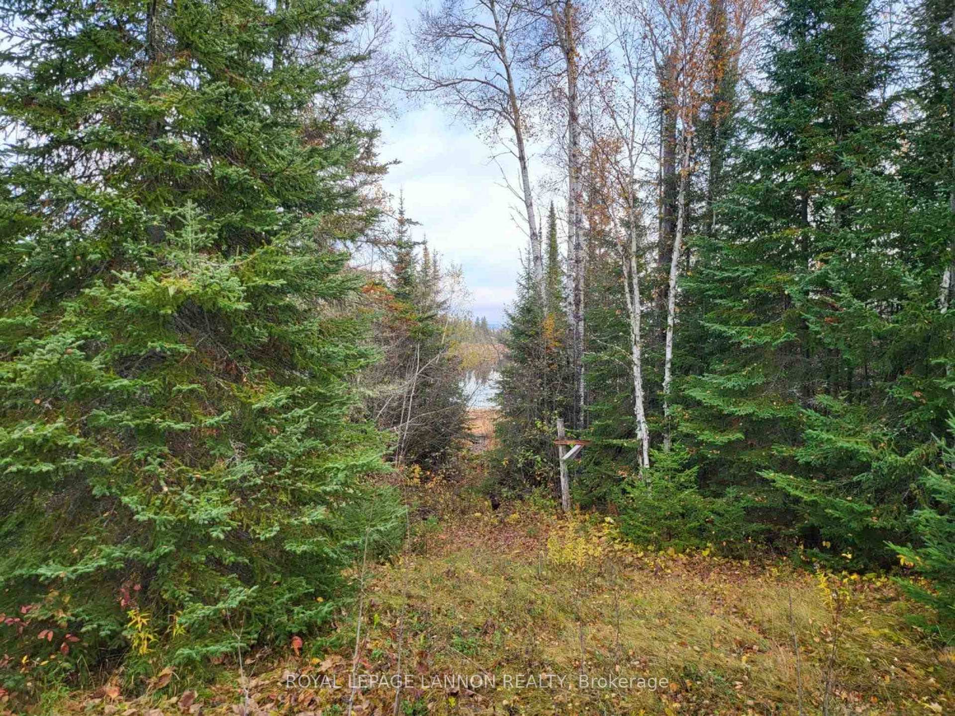 Photo 4 of Polly, Thunder Bay Remote Area — HOMEH