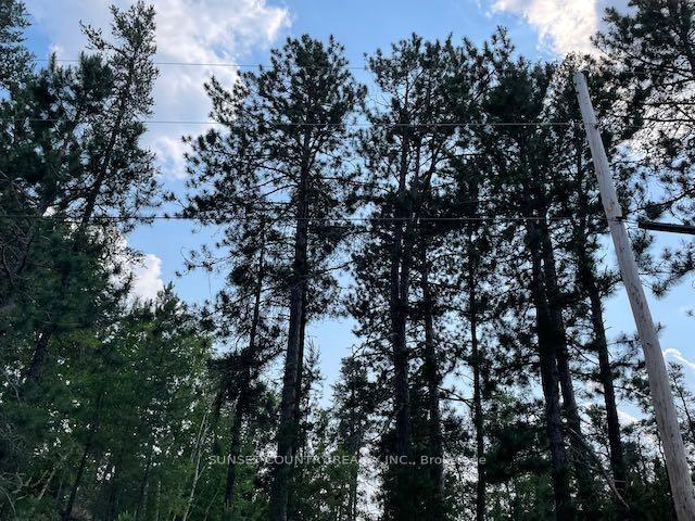 Photo 30 of 33 Alexandra Street, Kenora Remote Area, Vermilion Bay — HOMEH