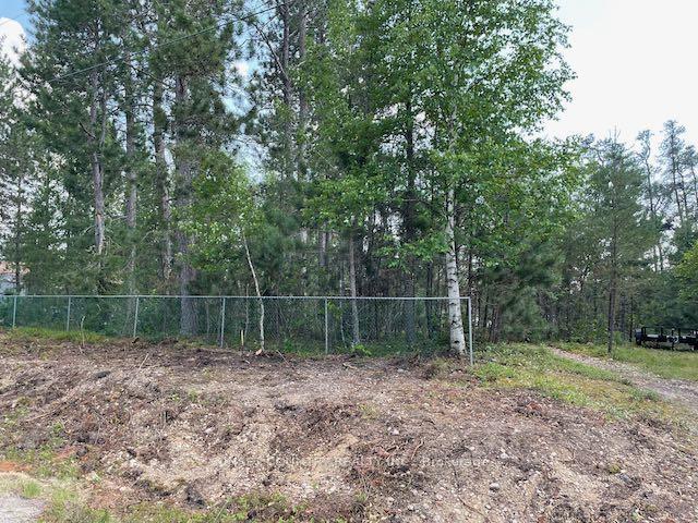 Photo 31 of 33 Alexandra Street, Kenora Remote Area, Vermilion Bay — HOMEH