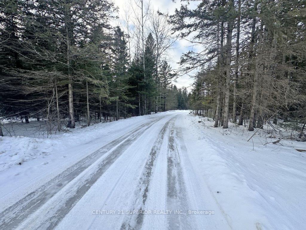 Photo 12 of 84 Cedar Sites Road, Thunder Bay Remote Area, Strange — HOMEH