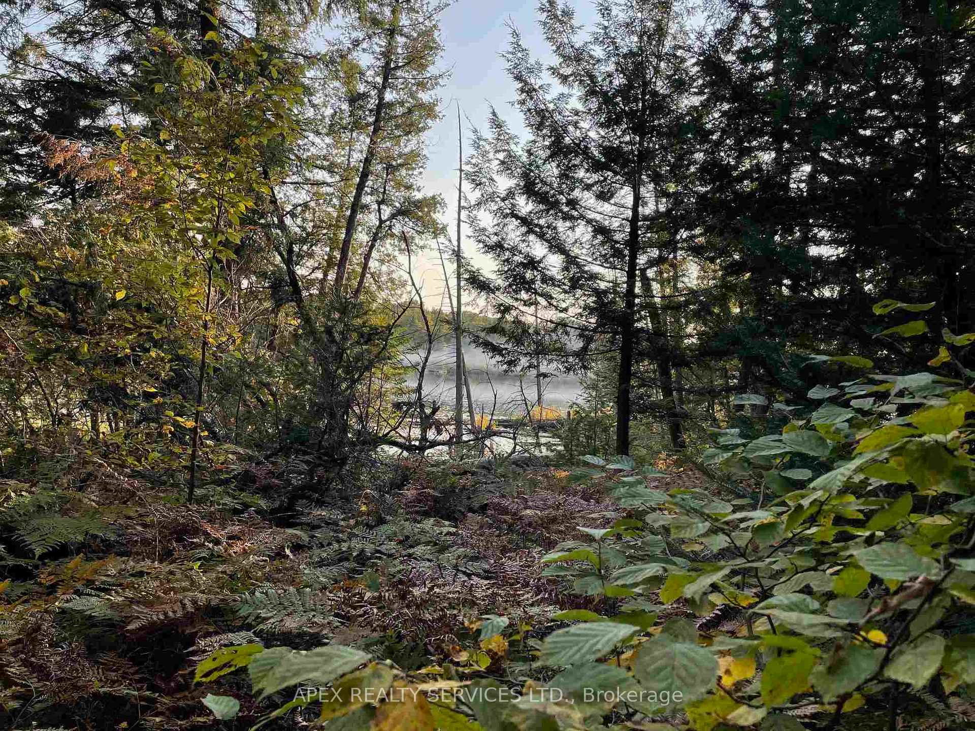Photo 2 of 129 Acres, Lanark Highlands, Lanark Highlands (Lanark) Twp — HOMEH