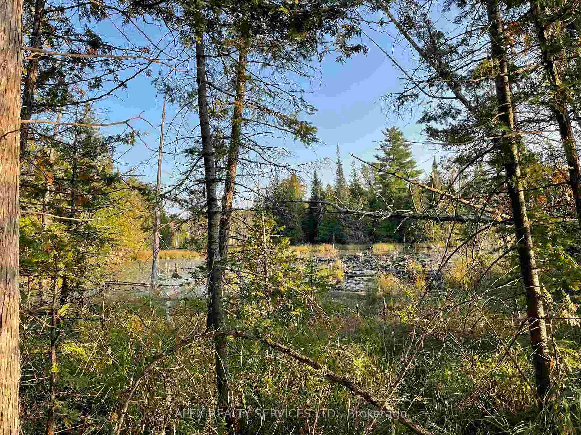 Photo 8 of 129 Acres, Lanark Highlands, Lanark Highlands (Lanark) Twp — HOMEH