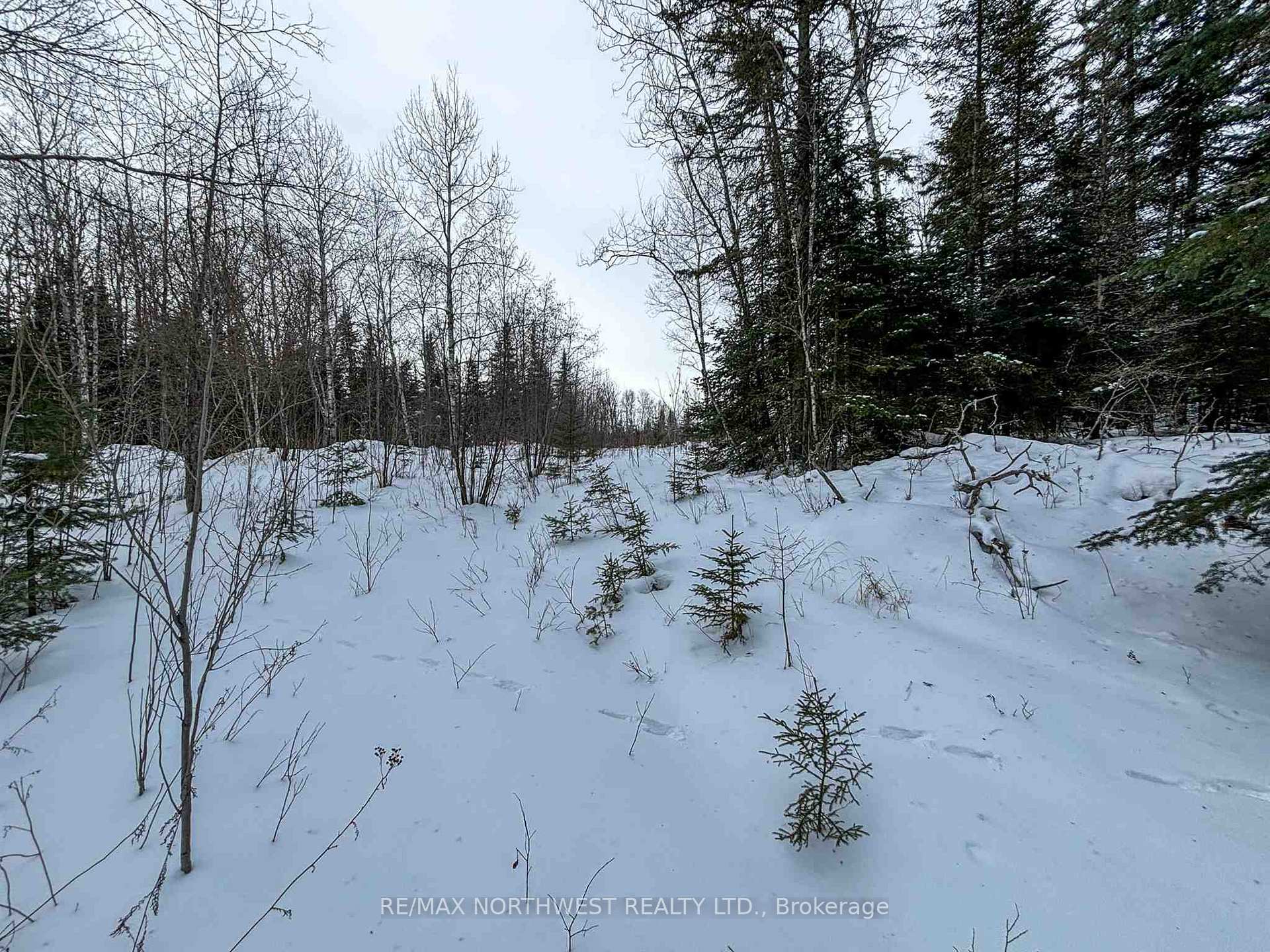Photo 28 of LOT 4 Grassy Lake, Kenora, Kenora Northeast — HOMEH