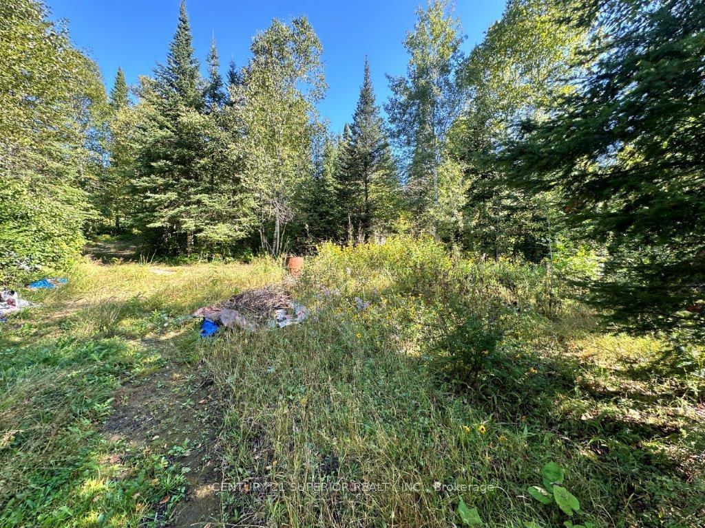 Photo 3 of 77 Cummins Lake Road, Thunder Bay Remote Area, Jacques — HOMEH