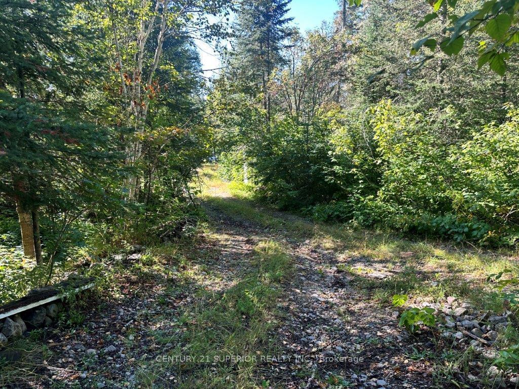 Photo 5 of 77 Cummins Lake Road, Thunder Bay Remote Area, Jacques — HOMEH