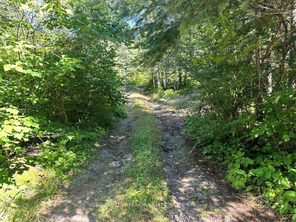 Photo 6 of 77 Cummins Lake Road, Thunder Bay Remote Area, Jacques — HOMEH