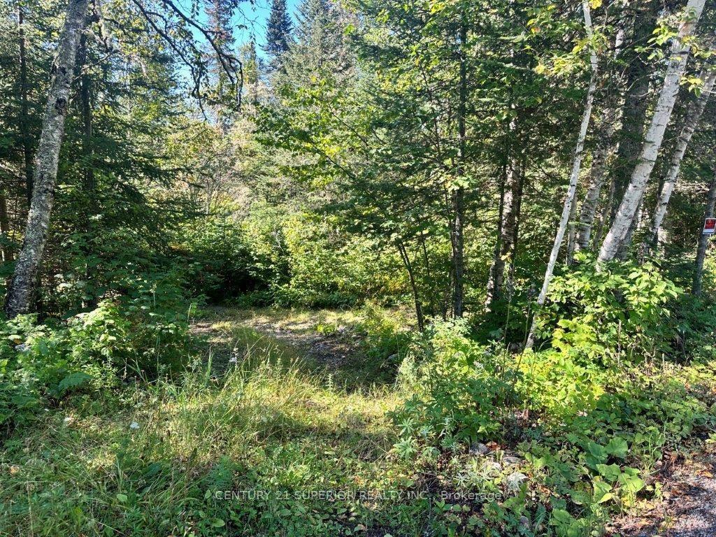 Photo 31 of 77 Cummins Lake Road, Thunder Bay Remote Area, Jacques — HOMEH