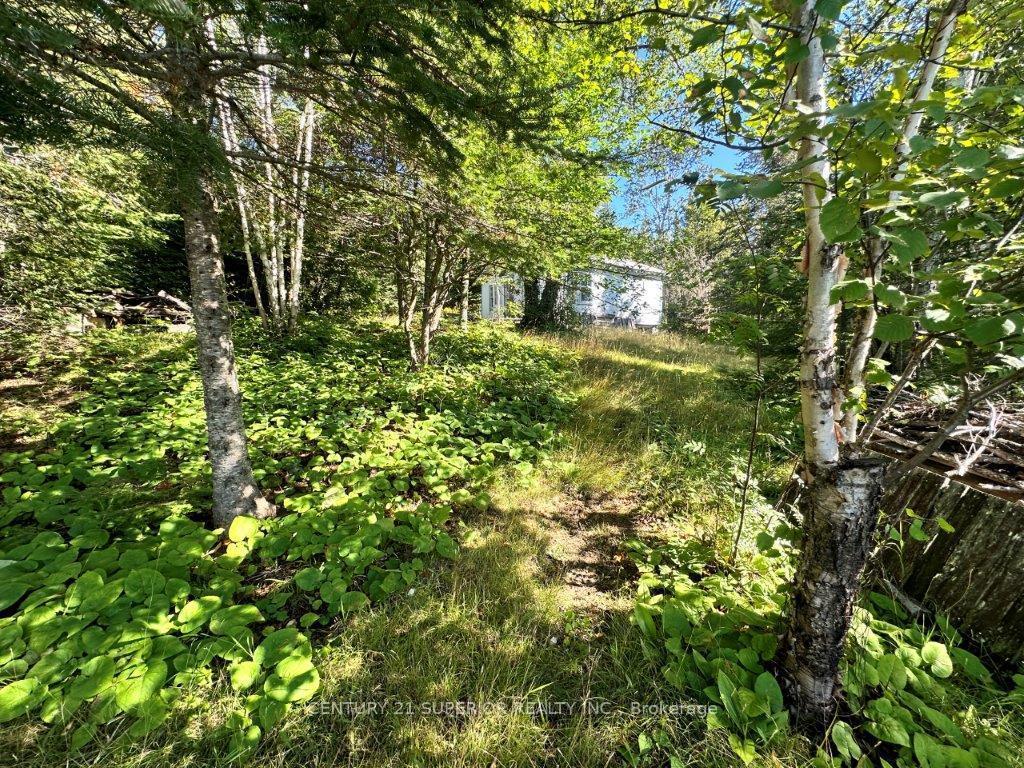 Photo 32 of 77 Cummins Lake Road, Thunder Bay Remote Area, Jacques — HOMEH