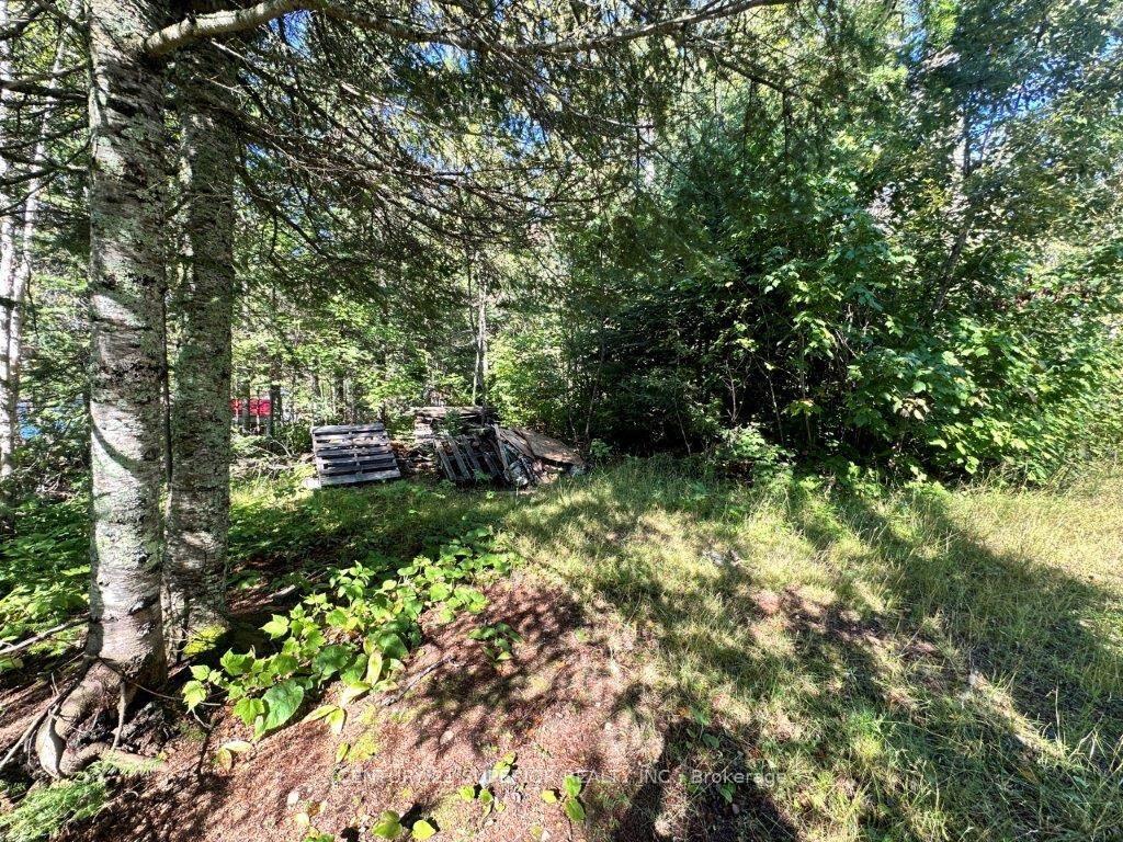 Photo 33 of 77 Cummins Lake Road, Thunder Bay Remote Area, Jacques — HOMEH