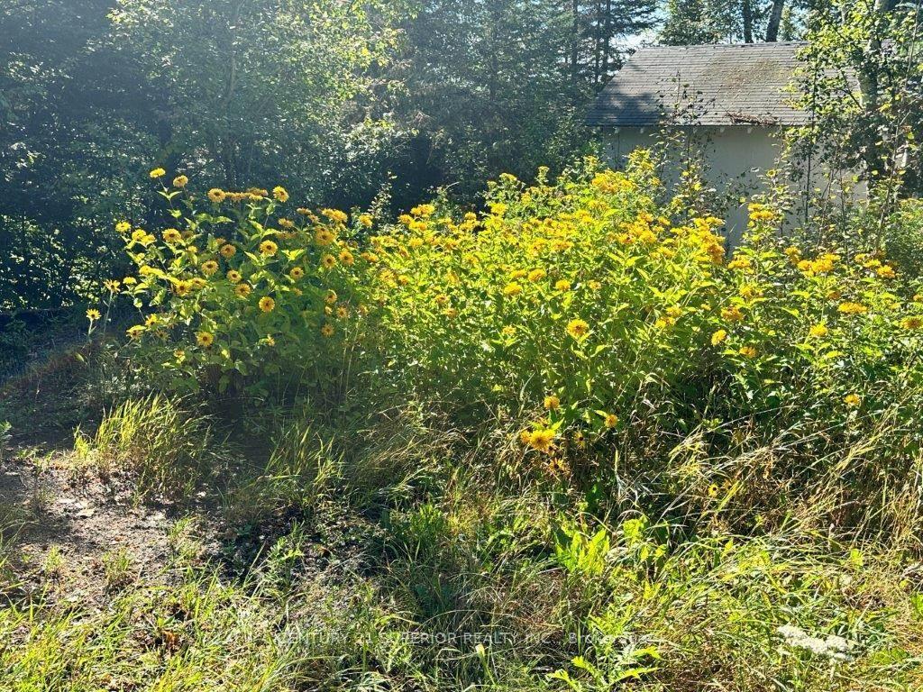 Photo 35 of 77 Cummins Lake Road, Thunder Bay Remote Area, Jacques — HOMEH