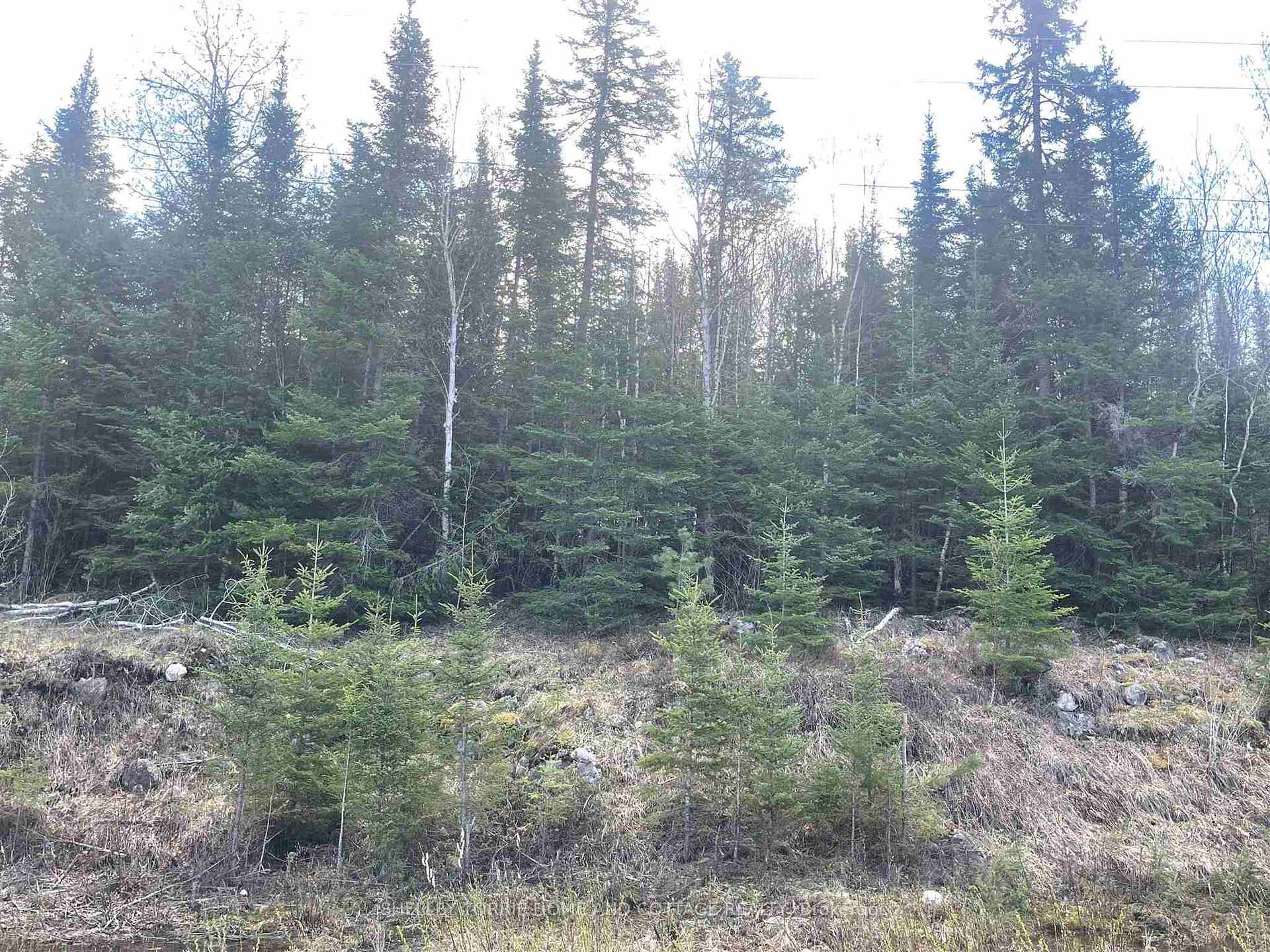 Photo 2 of 177 Jones Road, Kenora, Kenora East — HOMEH