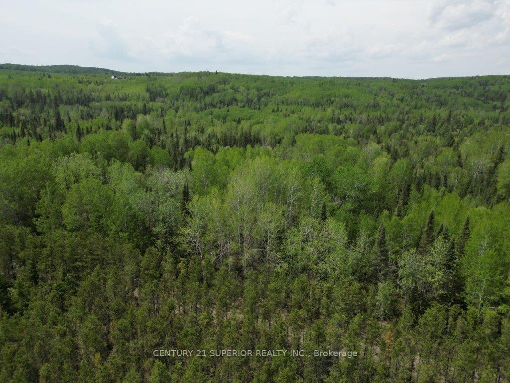 Photo 48 of 754 Forbes River Road, Thunder Bay Remote Area, Forbes — HOMEH