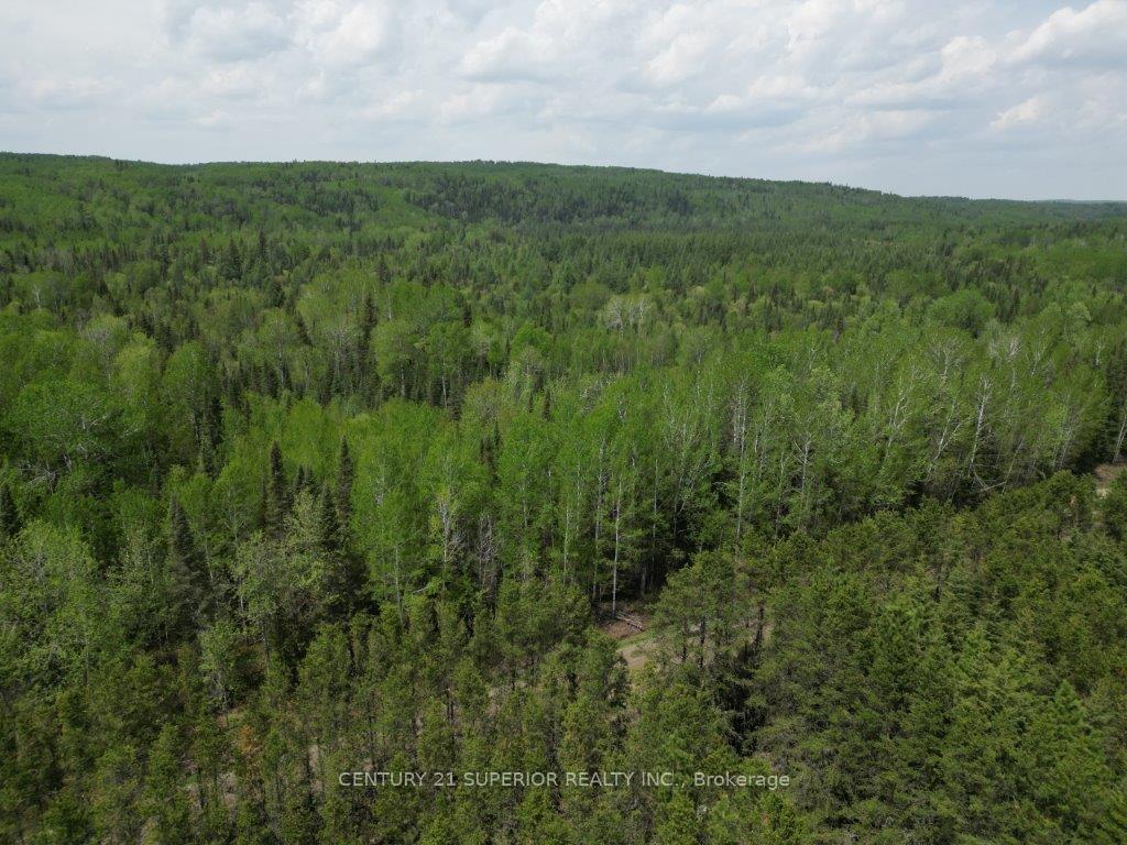 Photo 50 of 754 Forbes River Road, Thunder Bay Remote Area, Forbes — HOMEH